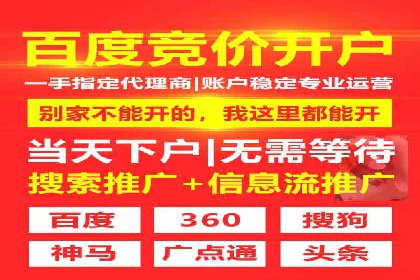 案例解析：SEM托管代运营团队风采